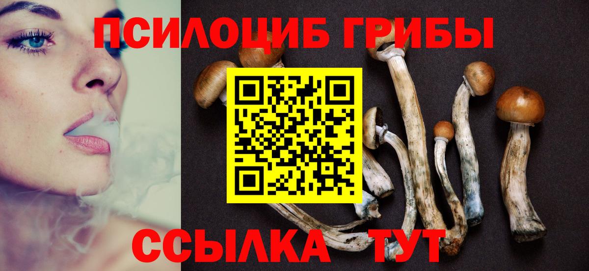 закладка  Галлюциногенные грибы Magic Shrooms  Сибай  Вход с VPN  Псилоцибиновые грибы ЛСД 